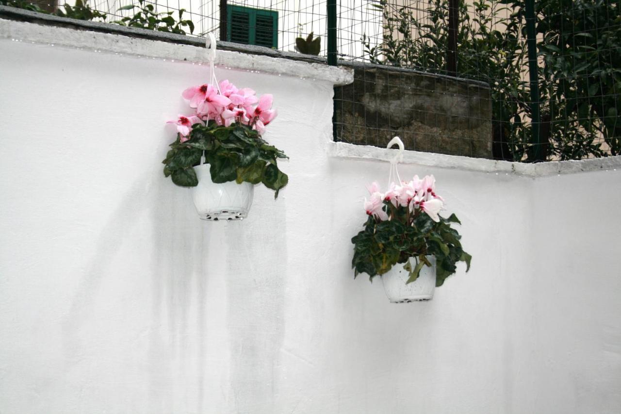 Willkommen In Einem Private Garden บารี ภายนอก รูปภาพ