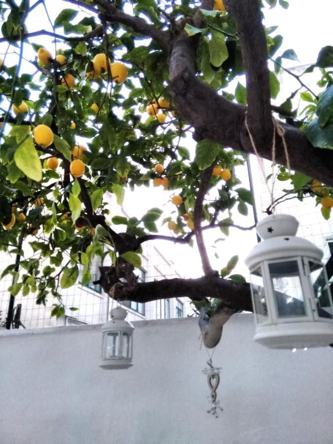 Willkommen In Einem Private Garden บารี ภายนอก รูปภาพ