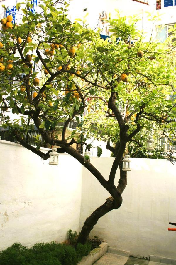 Willkommen In Einem Private Garden บารี ภายนอก รูปภาพ
